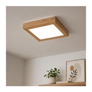 BRILAGI-LED Stmívatelné svítidlo WOODY FRAME LED/24W/230V dub 30x30 cm IP44 + DO 8590828607243 obraz