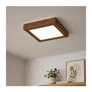 BRILAGI-LED Stmívatelné svítidlo WOODY FRAME LED/24W/230V dub 30x30 cm IP44 + DO 8590828607250 obraz