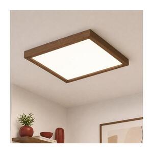 BRILAGI-LED Stmívatelné svítidlo WOODY FRAME LED/50W/230V dub 60x60 cm IP44 + DO 8590828607281 obraz
