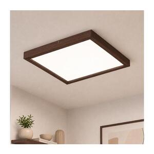 BRILAGI-LED Stmívatelné svítidlo WOODY FRAME LED/50W/230V dub 60x60 cm IP44 + DO 8590828607298 obraz