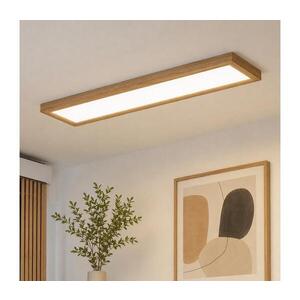 BRILAGI-LED Stmívatelné svítidlo WOODY FRAME LED/50W/230V dub 120x30 cm IP44 +DO 8590828607304 obraz