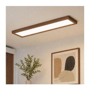 BRILAGI-LED Stmívatelné svítidlo WOODY FRAME LED/50W/230V dub 120x30 cm IP44 +DO 8590828607311 obraz