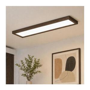 BRILAGI-LED Stmívatelné svítidlo WOODY FRAME LED/50W/230V dub 120x30 cm IP44 +DO 8590828607328 obraz