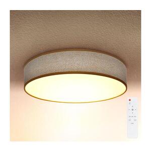BRILAGI - LED Stmívatelné stropní svítidlo CARMEN LED/48W/230V 3000-6500K + DO WO800-OEM4 obraz