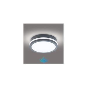 BRILAGI - LED Venkovní svítidlo se senzorem BENE LED/18W/230V pr. 22 cm IP54 BRI045 obraz