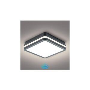 BRILAGI - LED Venkovní svítidlo se senzorem BENE LED/18W/230V 22x22 cm IP54 BRI049 obraz