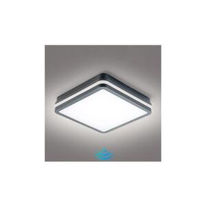 BRILAGI - LED Venkovní svítidlo se senzorem BENE LED/24W/230V 26x26 cm IP54 BRI051 obraz