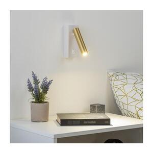 BRILAGI - LED Nástěnné bodové svítidlo MAYA LED/3W/230V 4000K bílá/zlatá BRI091 obraz
