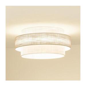 BRILAGI - Stropní svítidlo DOVER SPACE LED/12W/230V pr. 50 cm šedá/krémová 608206 obraz