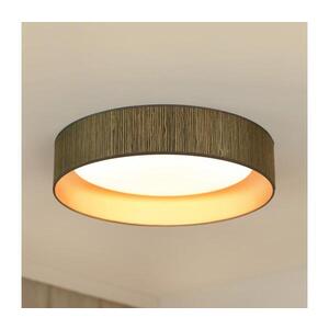 BRILAGI - LED Stmívatelné svítidlo VEGAS SHINE LED/24W/230V hnědá/zlatá + DO 609166 obraz