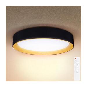 BRILAGI-LED Stmívatelné svítidlo LARIOS LED/60W/230V 3000-6500K pr. 49 cm černá+DO WO800-OEM16 obraz