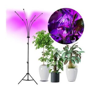 BRILAGI-LED Stmív. stojací lampa pro pěstování rostlin VITABLOOM 4xLED/7, 5W/230V 004072 obraz