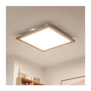 BRILAGI - LED Stropní svítidlo SLIMFRAME WOOD LED/58W/230V 64x64 cm hnědá BG1542+EG99423 obraz