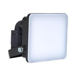 BRILAGI - LED Reflektor ELARA PRO LED/10W/230V IP65 BRFL02-10W obraz