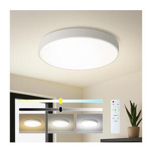 BRILAGI - LED Stm. svítidlo POOL LED/60W/230V 3000-6000K pr. 60 cm bílá + DO BRI351 obraz