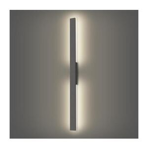 BRILAGI - LED Venkovní nástěnné svítidlo LUNA LED/24W/230V 4000K IP65 antracit BRI270 obraz