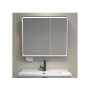 BRILAGI - LED Zrcadlová koupelnová skříňka s podsvícením NOTO DOUBLE 60x70 cm FG-CY-D2-60-P-M obraz