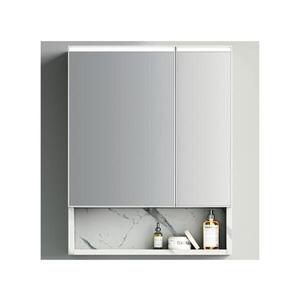 BRILAGI - LED Zrcadlová koupelnová skříňka s podsvícením TRABIA DOUBLE 60x70 cm FG-CY-909-60 obraz