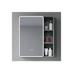 BRILAGI - LED Zrcadlová koupelnová skříňka s podsvícením AVOLA SINGLE 55x70 cm FG-CY-D1-60-C-E obraz