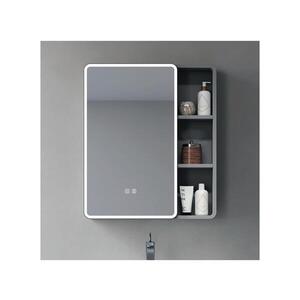 BRILAGI - LED Zrcadlová koupelnová skříňka s podsvícením NOTO SINGLE 60x65 cm FG-CY-D1-60-P-E obraz