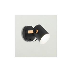 Eglo 43046 - Nástěnné svítidlo HORNWOOD 1xE27/28W/230V 43046 obraz