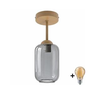 BRILAGI - LED Přisazený lustr R GLASS 1xE27/60W/230V pr. 14 cm béžová/kouř šedá BG3995+NSTK7757 obraz