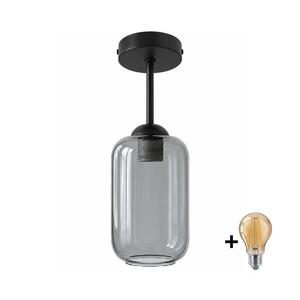 BRILAGI - LED Přisazený lustr R GLASS 1xE27/60W/230V pr. 14 cm černá/kouř šedá BG3989+NSTK7757 obraz