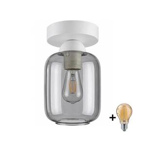 BRILAGI - LED Stropní svítidlo R GLASS 1xE27/60W/230V pr. 14 cm bílá/kouř šedá BG3991+NSTK7757 obraz