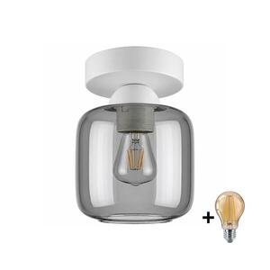 BRILAGI - LED Stropní svítidlo R GLASS 1xE27/60W/230V pr. 14 cm bílá/kouř šedá BG3991+NSTK7758 obraz