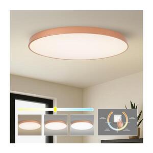 BRILAGI - LED Stropní sv. POOL LED/180W/230V 3000/4000/6000K pr. 120 cm bronzová BRI1056 obraz