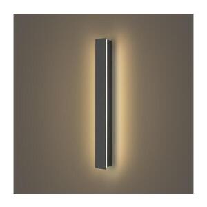 BRILAGI - LED Venkovní nástěnné svítidlo LINEAR LED/12W/230V 3000K IP65 antracit BRI280 obraz
