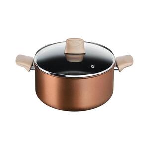 Tefal - Hrnec s poklicí RESPECT pr. 24 cm G2544602 obraz