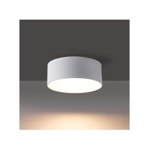 BRILAGI - LED Venkovní stropní svítidlo FORIS LED/9W/230V pr. 9 cm bílá IP44 BG3781 obraz