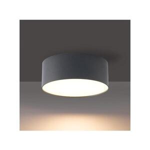 BRILAGI - LED Venkovní stropní svítidlo FORIS LED/14W/230V pr. 12 cm antr IP44 BG3784 obraz