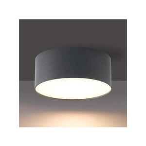 BRILAGI - LED Venkovní stropní svítidlo FORIS LED/20W/230V pr. 15 cm antr IP44 BG3788 obraz