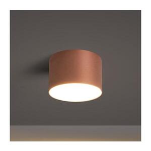 BRILAGI - Koupelnové stropní svítidlo FORIS LED/9W/230V pr. 9 cm bronzová IP44 BRI1168 obraz