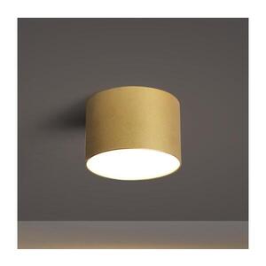 BRILAGI - Venkovní stropní svítidlo FORIS LED/9W/230V pr. 9 cm zlatá IP44 BG6694 obraz