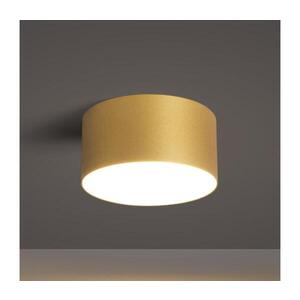 BRILAGI - LED Venkovní stropní svítidlo FORIS LED/14W/230V pr. 12 cm zlatá IP4 BG6696 obraz