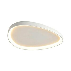 Top Light - LED Stm stropní svítidlo ECLIPSE LED/55W/230V 3000-6500K bílá + DO Eclipse 60B RC obraz