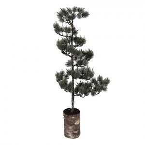 Dekorativní svítící jehličnatý stromek na podstavci Bonsai Tree LED M - 28*20*75 cm / 3*AAA 50844 obraz