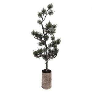 Dekorativní svítící jehličnatý stromek na podstavci Bonsai Tree LED S - 20*17*60 cm / 3*AAA 50843 obraz