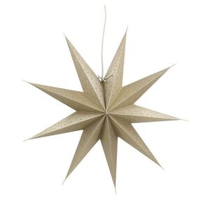 Závěsná champagne papírová zdobená hvězda Vintage Paper Star Glitt - 60 cm 52095403 obraz