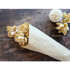 Sada sušených béžových květin jiřinka Fleur Dahlia – 55 cm / 3ks 39040119 obraz